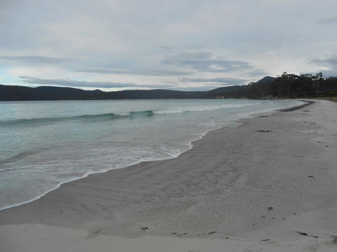 Bruny Ocean Cottage - Sydney 4u 11