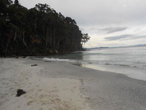 Bruny Ocean Cottage - Sydney 4u 17