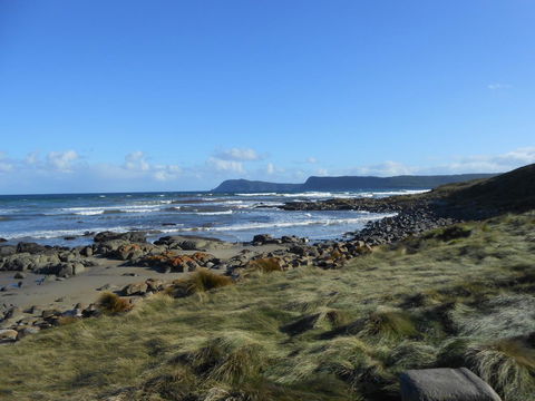 Bruny Ocean Cottage - Sydney 4u 15