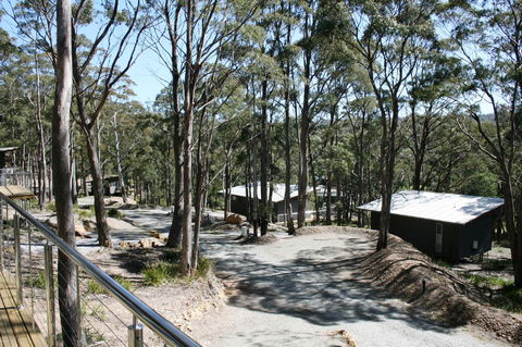 Craggy Peaks Wilderness Cabins - Sydney 4u 22