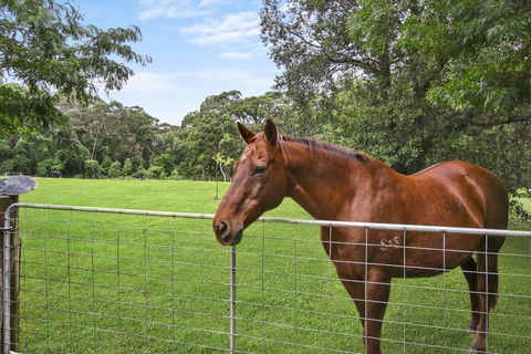 NUNGAROO COTTAGE - Sydney 4u 3