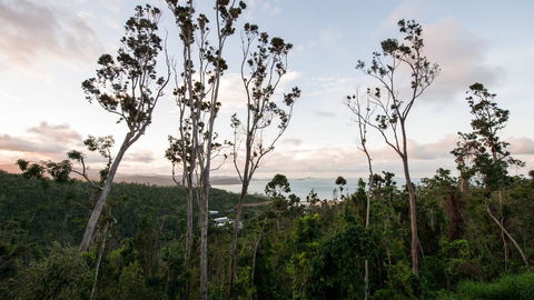 Onestep Airlie Retreat - Sydney 4u 0