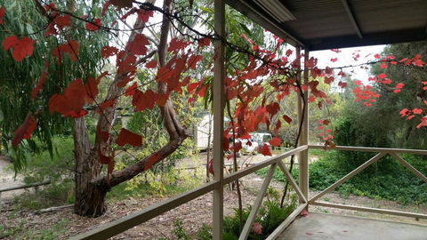 Padthaway Caravan Park - Sydney 4u 1