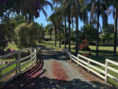 Palms Oasis Motel - Accommodation Sydney 3