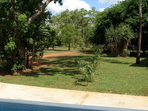 Pandanus On Litchfield - Sydney 4u 3