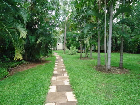 Pandanus On Litchfield - Sydney 4u 0