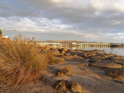 Port Lincoln Holiday Houses - Sydney 4u 3