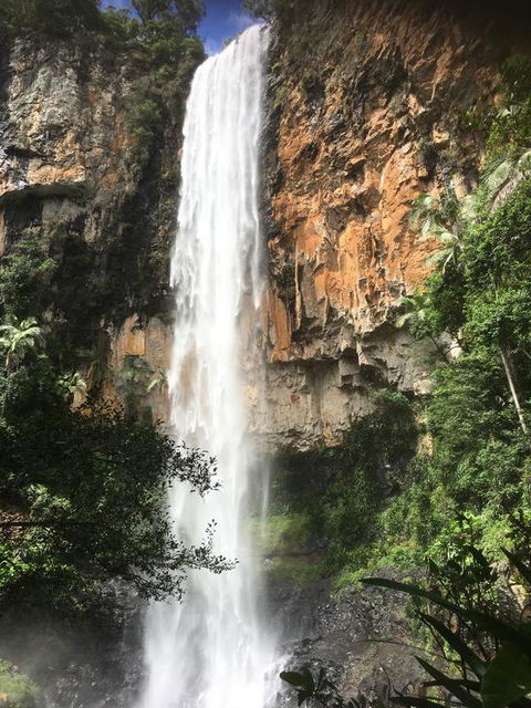 Purling Brook Falls Gwongorella - Sydney 4u 0