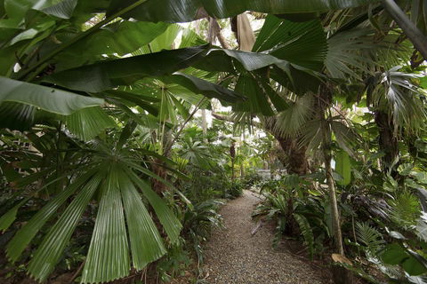 Rainforest Castaways Resort And Spa - Sydney 4u 1