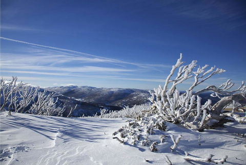 Razorback 12/1 Gippsland Street - Accommodation Sydney 3