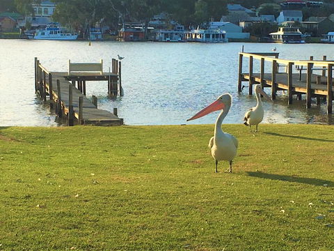 Riverfront Getaway - Mannum - Sydney 4u 0