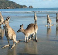 Seaforth Holiday Units - Accommodation Sydney