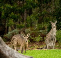 Secura Lifestyle Countryside Kalaru - Sydney 4u
