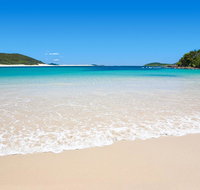 Shells on the Shore Holiday Accomm - Dolphins - Sydney Resort