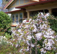 Shelton-Lea Bed  Breakfast - Sydney 4u