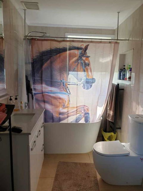 Silverbirch Cottage - Sydney 4u 3