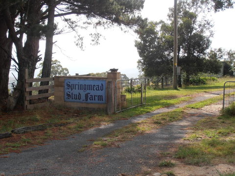 Springmead B&B - Accommodation Sydney 2