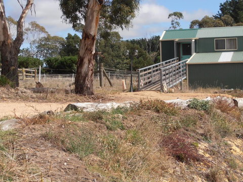 Springmead Rustic Cabin - Accommodation Sydney 1