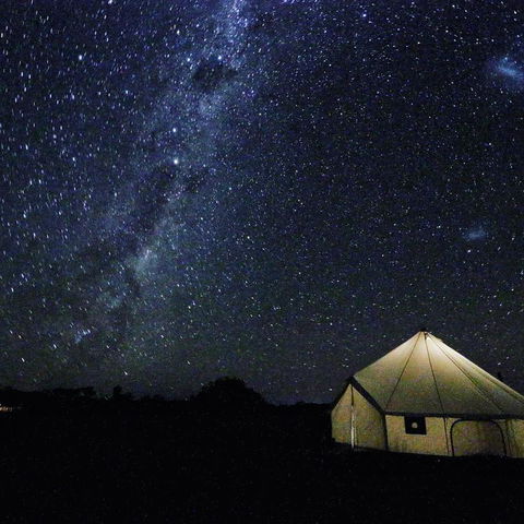 Starfields Luxury Camping - Sydney 4u 3