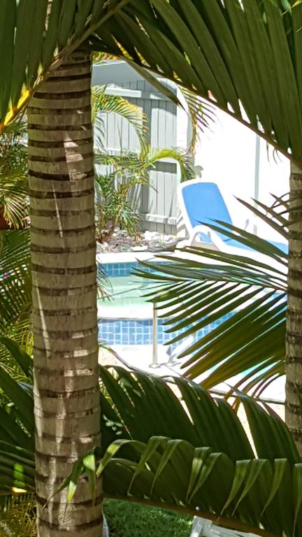 Studio Apartment Mooloolaba Beach Holiday Management - Sydney 4u 0