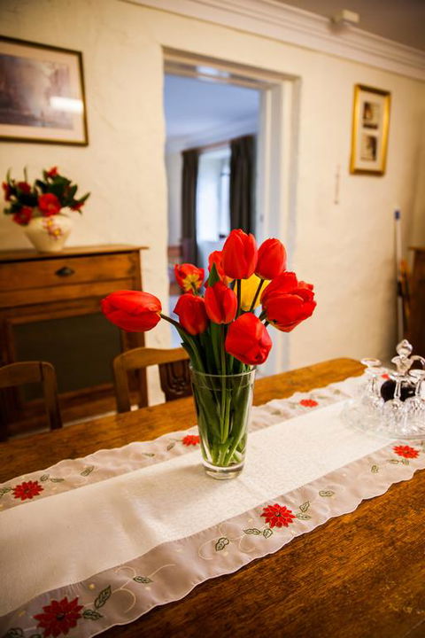 Sunnyside Cottage - Sydney 4u 3