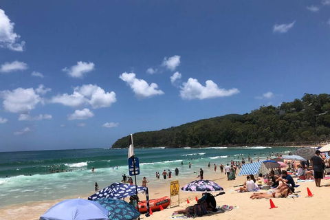 Sunshine Coast Cottage - Sydney 4u 3