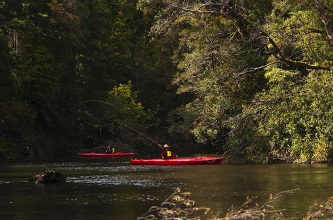 Corinna Wilderness Village - Sydney 4u 38