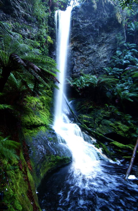 Corinna Wilderness Village - Sydney 4u 40