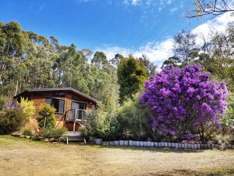 Southern Forest Accommodation - Sydney 4u 10