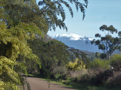 Southern Forest Accommodation - Sydney 4u 24