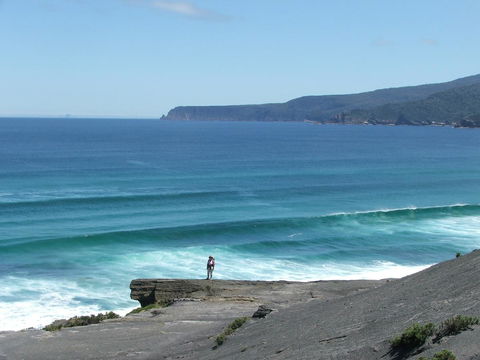 Southern Forest Accommodation - Sydney 4u 27