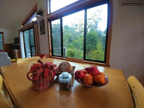 Southern Forest Accommodation - Sydney 4u 11
