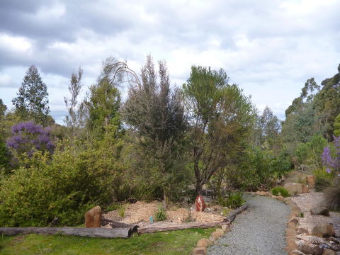 Southern Forest Accommodation - Sydney 4u 23