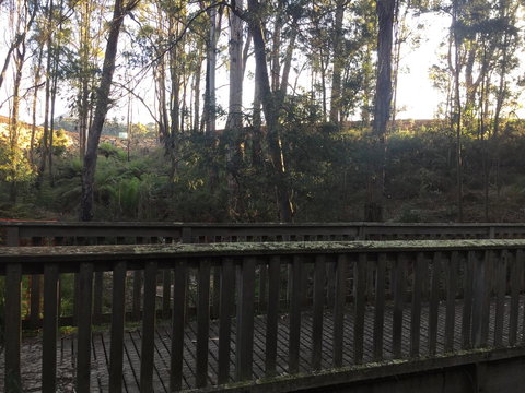 Harlea - Accommodation Sydney 13