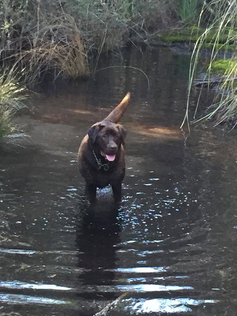 Harlea - Accommodation Sydney 27