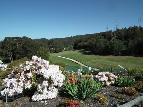 Harlea - Accommodation Sydney 16