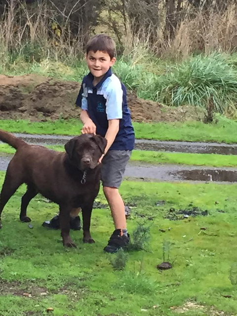 Harlea - Accommodation Sydney 24