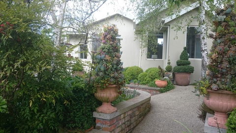 Topiary Haven - Sydney 4u 5