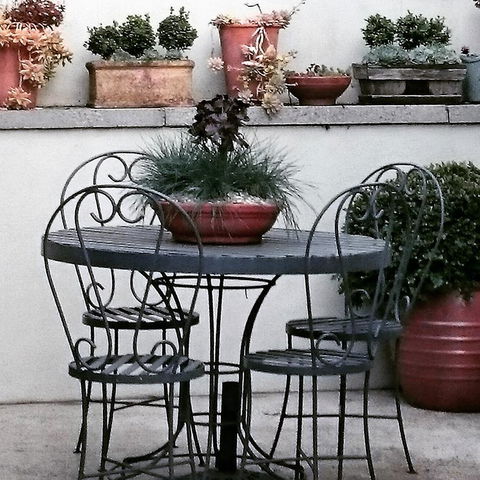 Topiary Haven - Sydney 4u 14