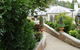 Topiary Haven - thumb 26