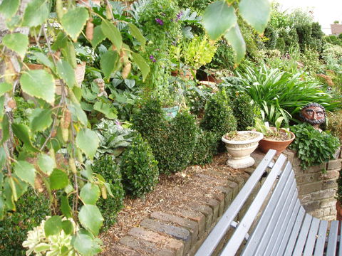Topiary Haven - Sydney 4u 25