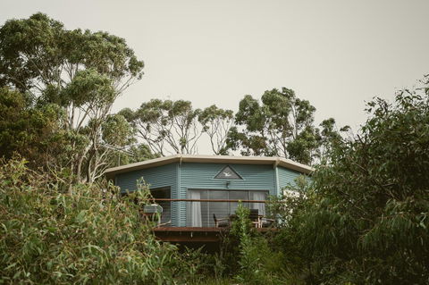 Larus Waterfront Cottage - Sydney 4u 15