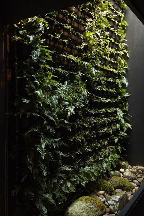 Moss Hotel - Sydney 4u 2