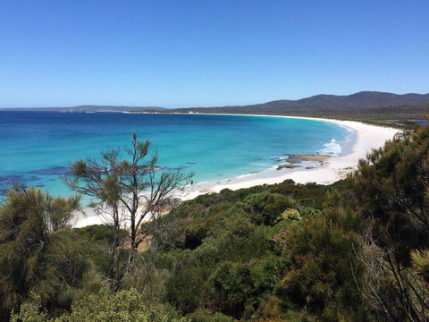 Holland House Bay Of Fires - Sydney 4u 15