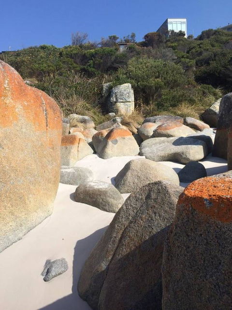 Holland House Bay Of Fires - Sydney 4u 5