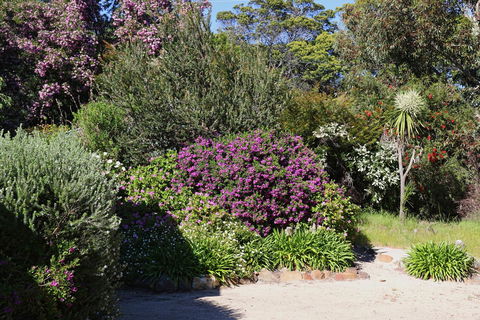 Hazards Beach House - Sydney 4u 1