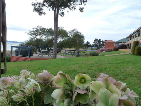 Swansea Motor Inn Tasmania - Accommodation Sydney 17