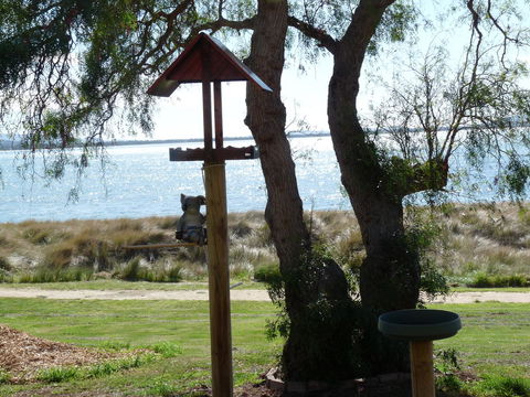 Swansea Motor Inn Tasmania - Accommodation Sydney 20
