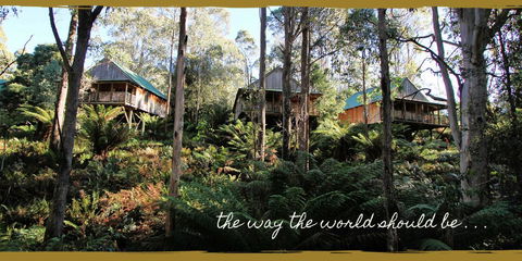 Lemonthyme Wilderness Retreat - Accommodation Sydney 20