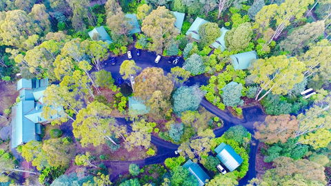 Lemonthyme Wilderness Retreat - Accommodation Sydney 1